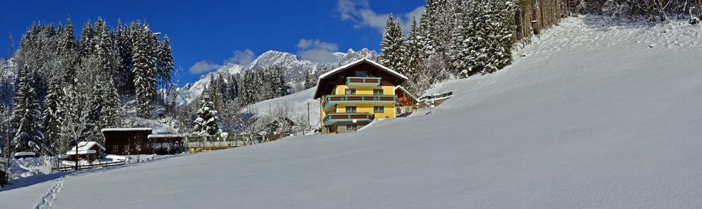 Haus Elisabeth Bed & Breakfast Mühlbach am Hochkönig Екстериор снимка