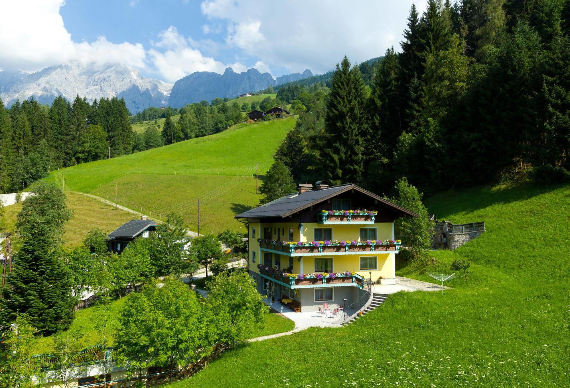 Haus Elisabeth Bed & Breakfast Mühlbach am Hochkönig Екстериор снимка