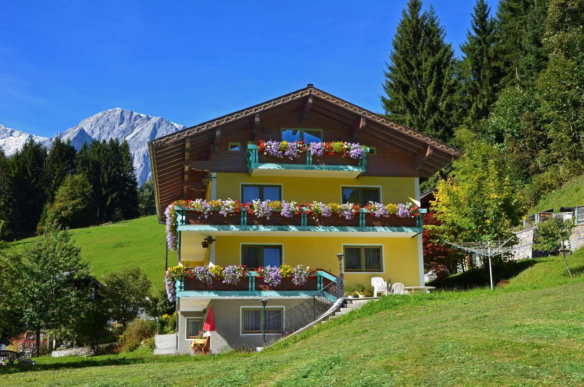 Haus Elisabeth Bed & Breakfast Mühlbach am Hochkönig Екстериор снимка